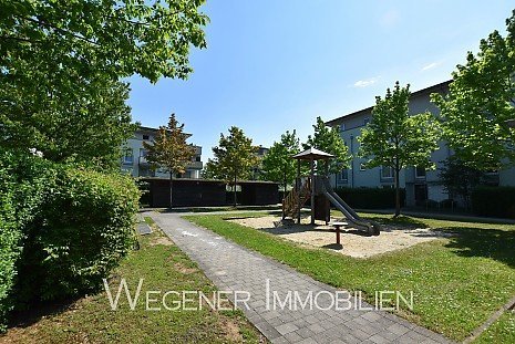 Foto Haar