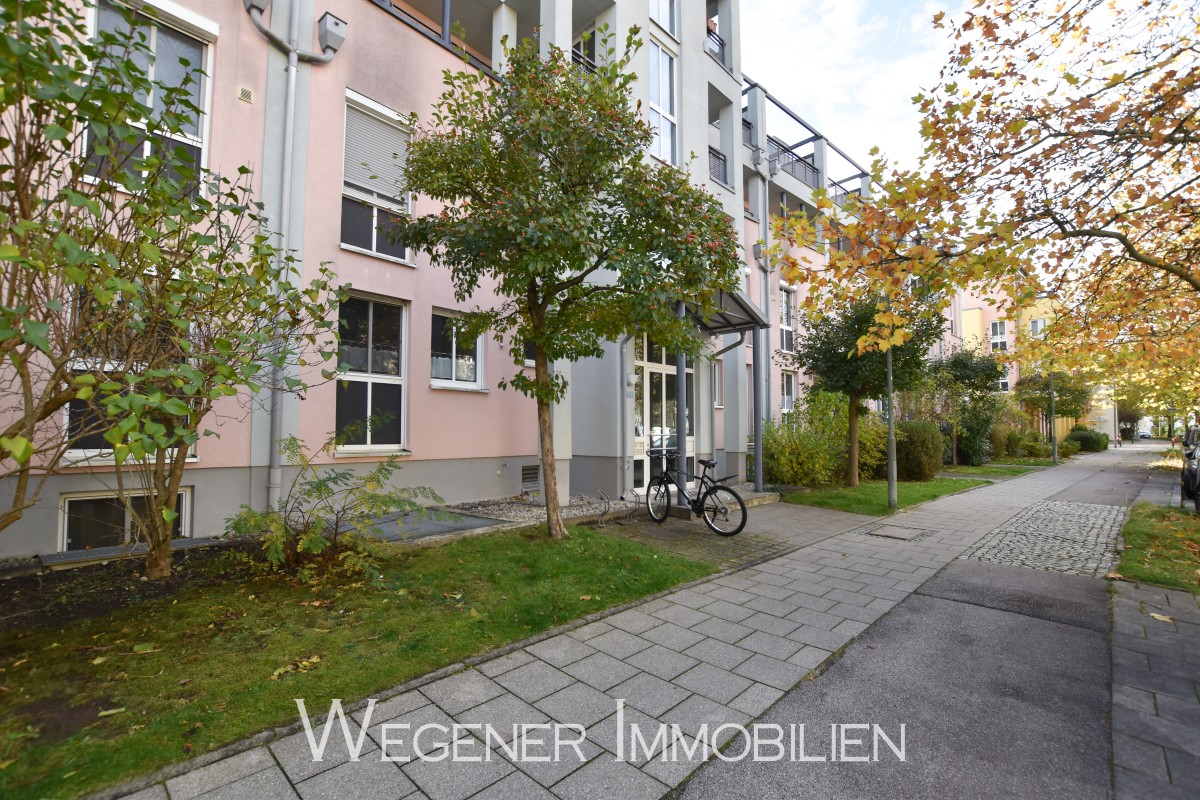 Erstes Bild